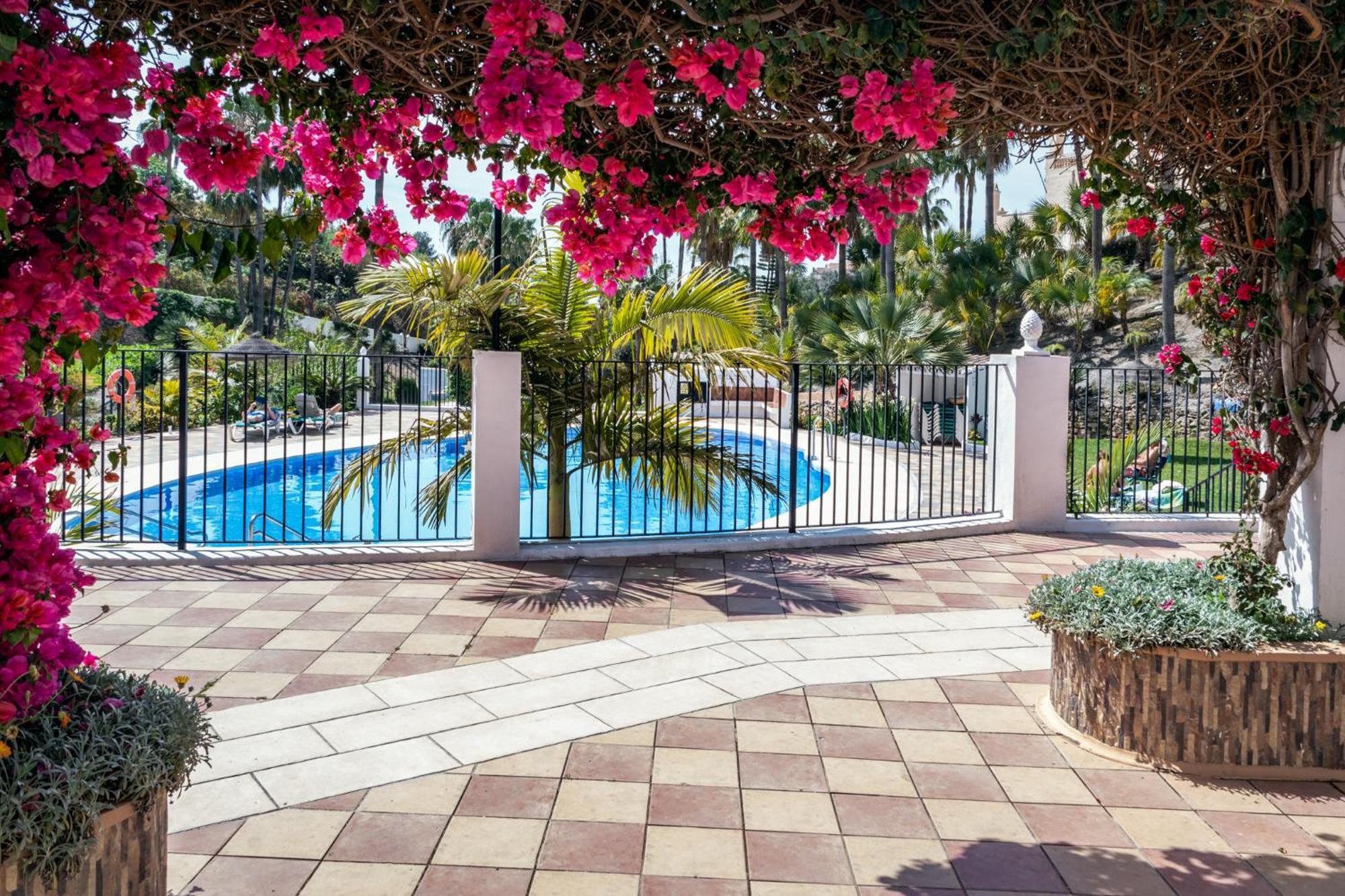 Oasis 16 Nerja