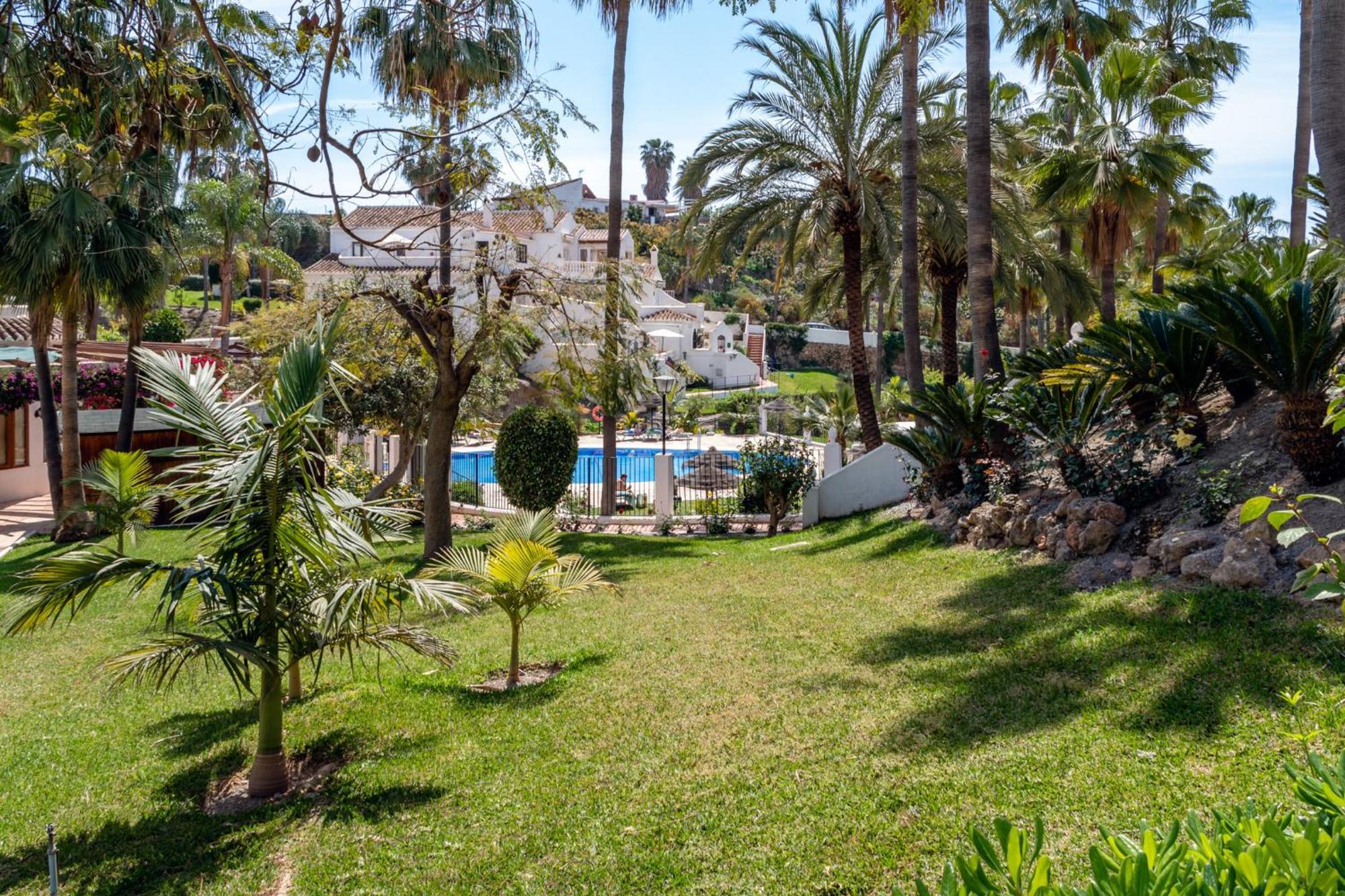 Oasis 16 Nerja